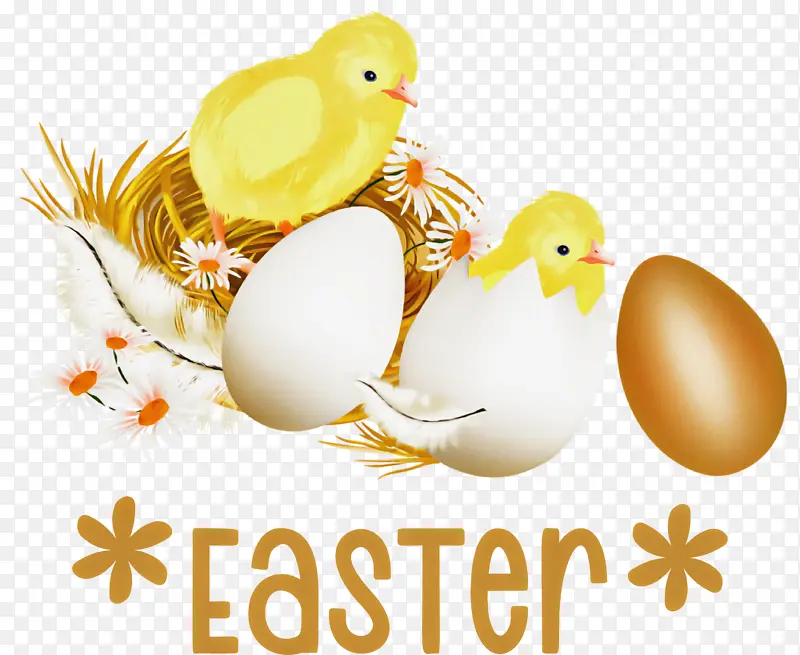 ����� ����ڿ��� ����-������