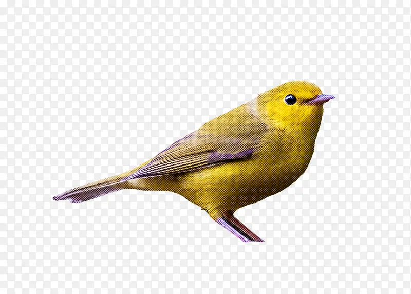 ���� ȸ�� �-������