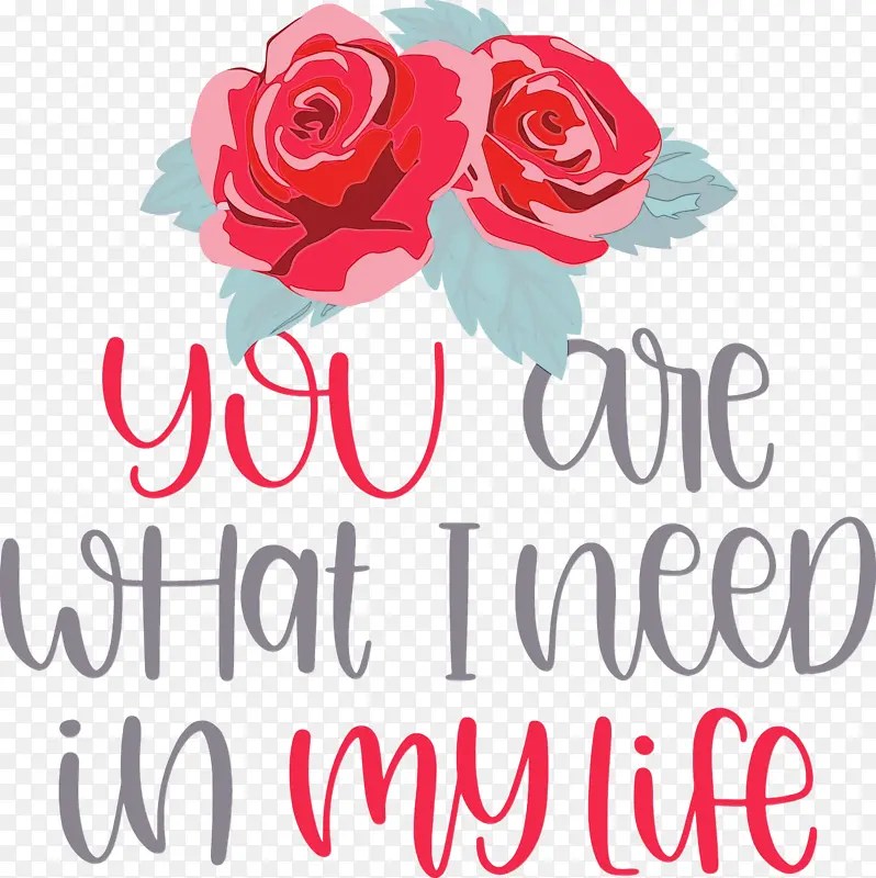 ���˽� ˮ�ʻ� ����-������