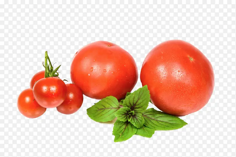 ���� ʳƷ ʳ��-������