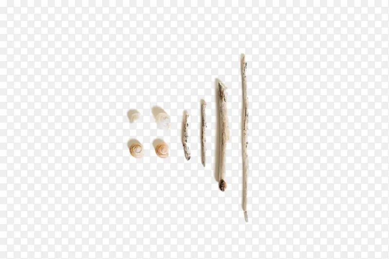 �� �� ��ѧ-������