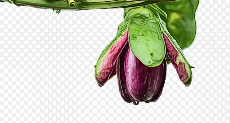 ˮ�ʻ� ���� ʪī-������