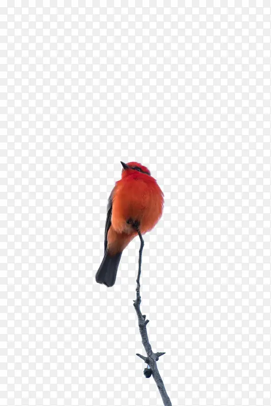 �� � ��-������