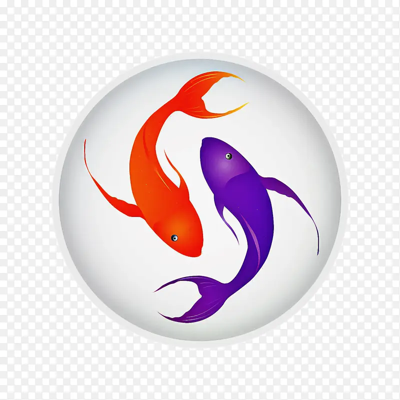 ���� ����ѧ ��ѧ-������