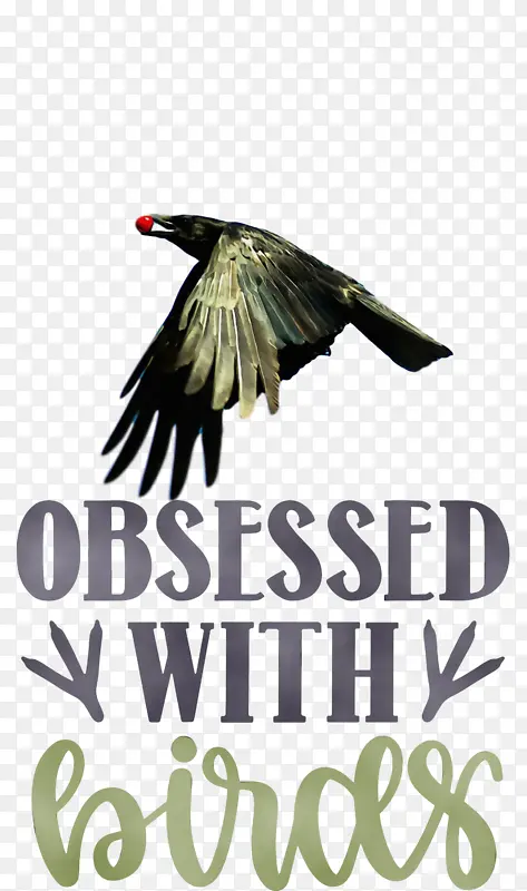 �� ˮ�ʻ� ����-������