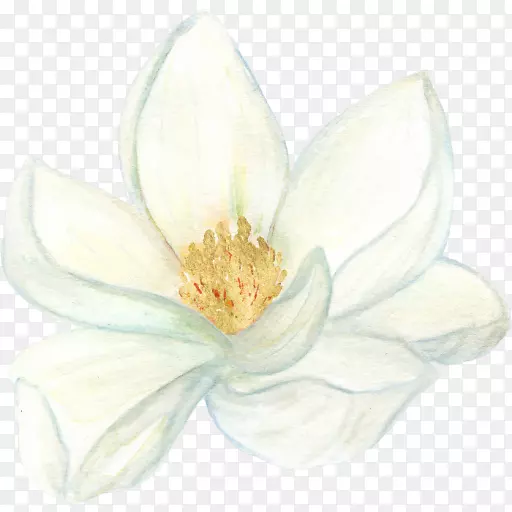 ����ֲ��ľ���ƾ�����Ӱ-ľ��-������