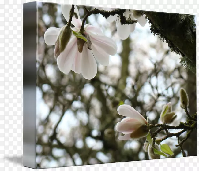 ľ����������-����-������