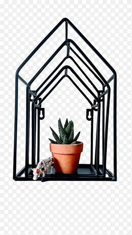 �Ƕ� ���� ��ѧ-������