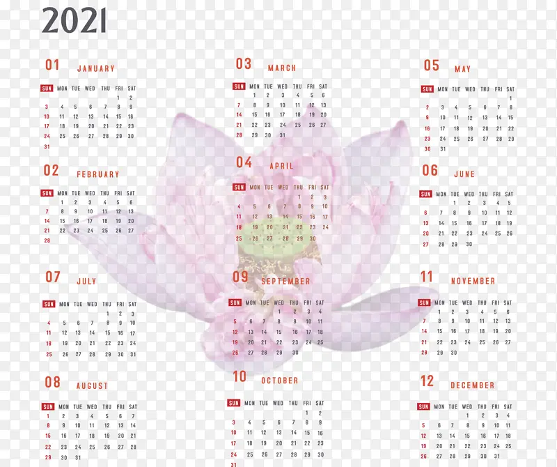 �Ǳ� ����ϵͳ-������