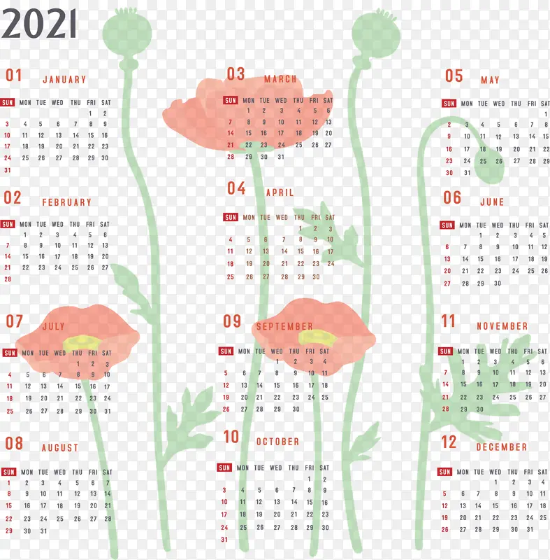 �Ǳ� ����ϵͳ-������