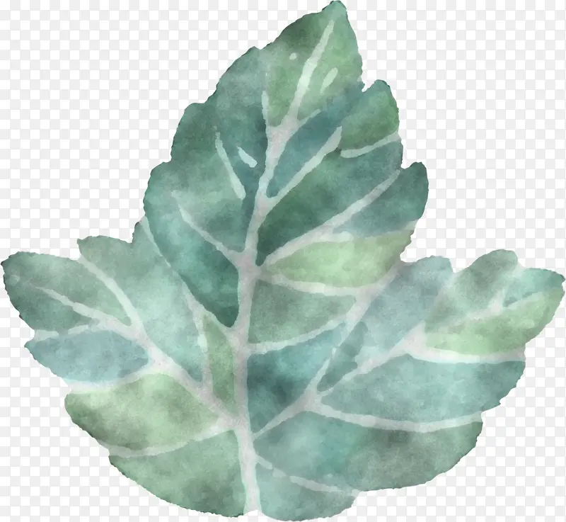 Ҷ ���� ֲ��-������