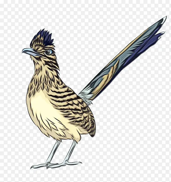 ˮ�ʻ� ���� ʪīˮ-������