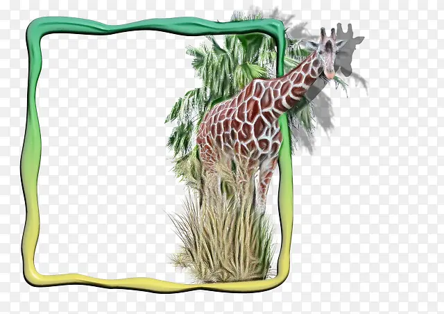 ˮ�ʻ� ���� ʪīˮ-������