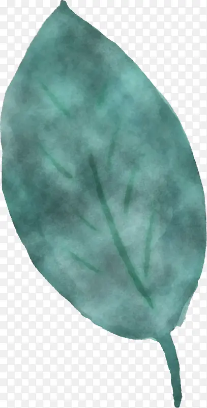 Ҷ�� ͷ�� ��ѧ-������