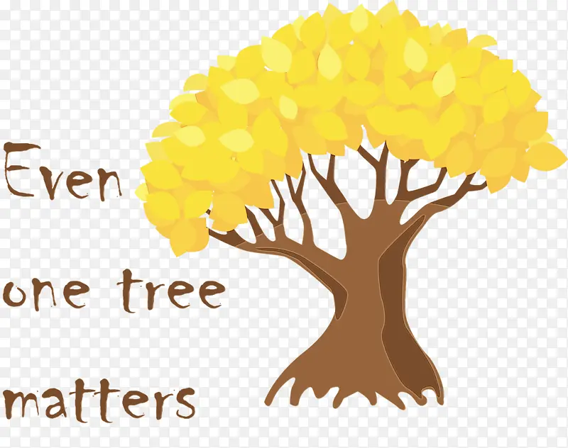 ֲ���� ˮ�ʻ� ����-������