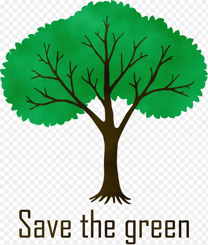 ֲ���� ˮ�ʻ� ����-������