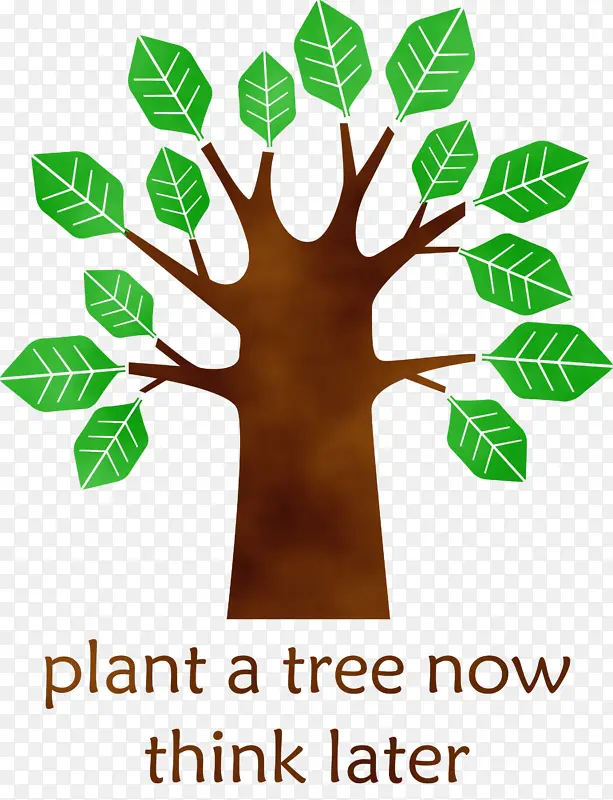 ֲ���� ��ľ ˮ�ʻ�-������