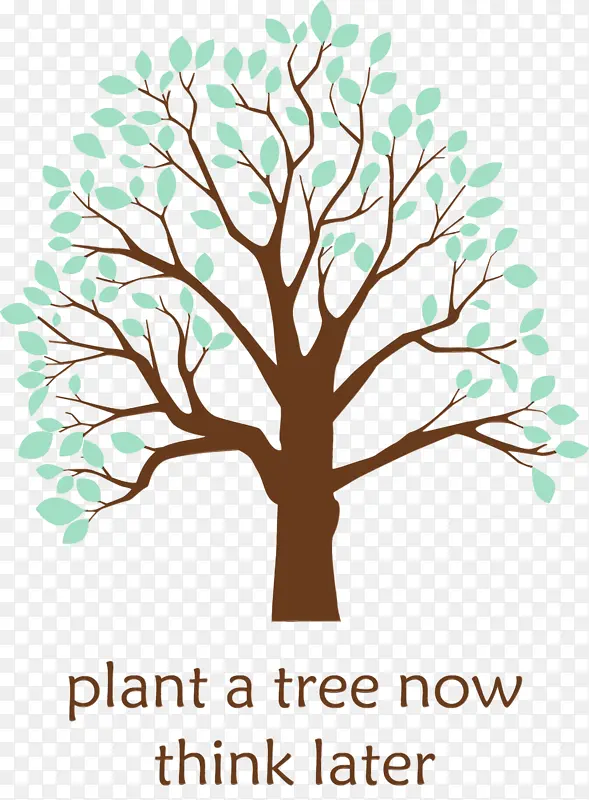 ֲ���� ��ľ ˮ�ʻ�-������