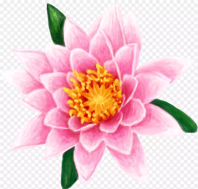 ˮ�ٺϻ��ٺ�-������