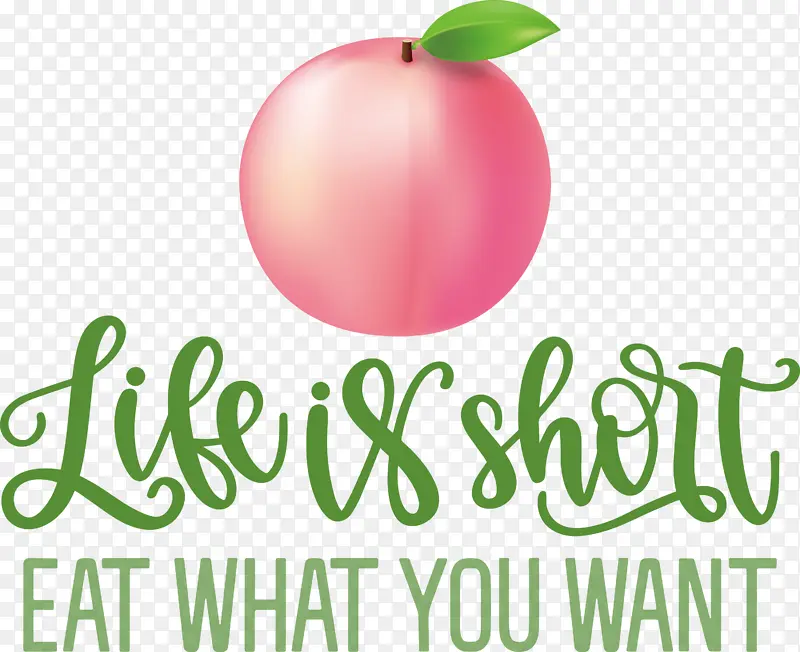 ���� ��ʳ ʳ��-������