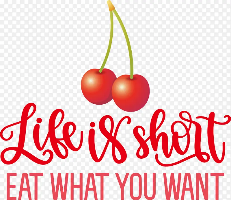 ���� ��ʳ ʳ��-������