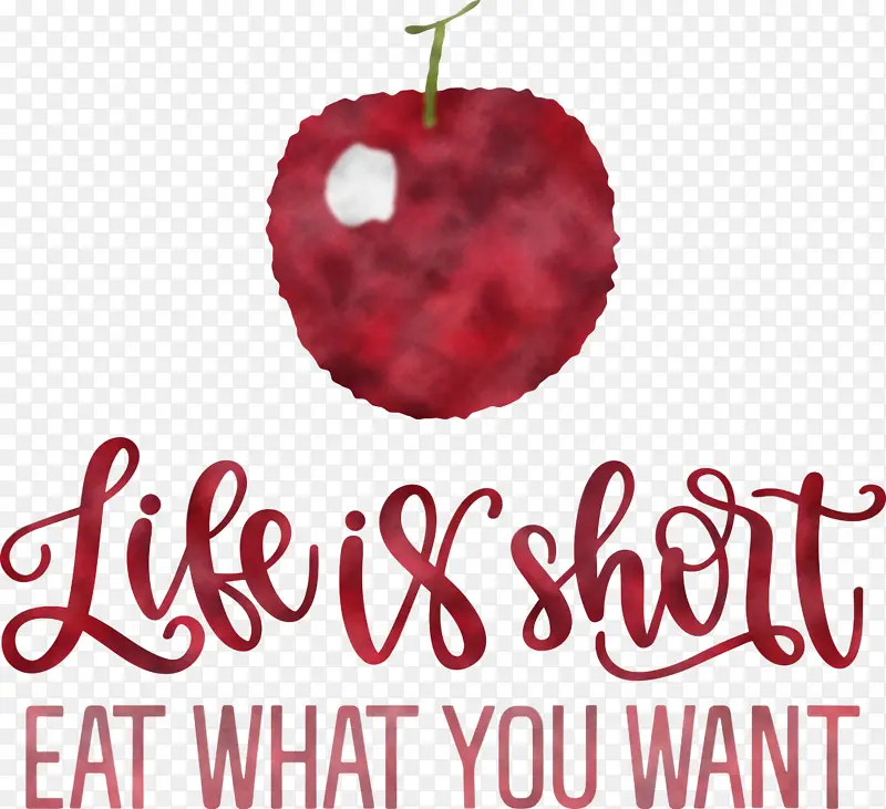 ���� ��ʳ ʳ��-������