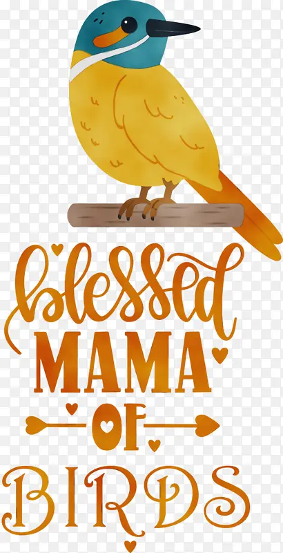 �� ˮ�ʻ� ����-������