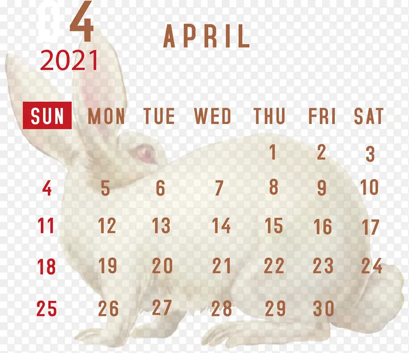 ���� ��-������