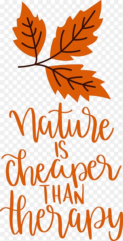 ��Ȼ ��Ҷ ��־-������