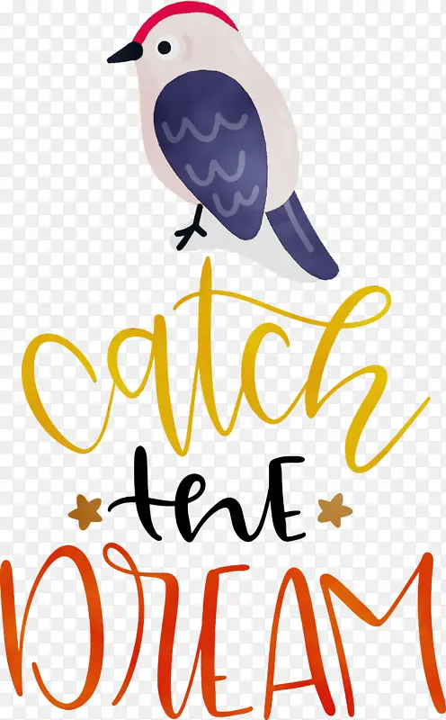 �� ˮ�ʻ� ����-������