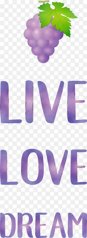 ���� ���� ����-������