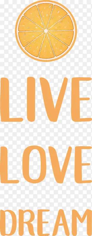 ���� ���� ����-������