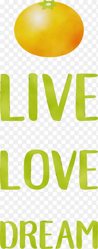 ���� ���� ����-������