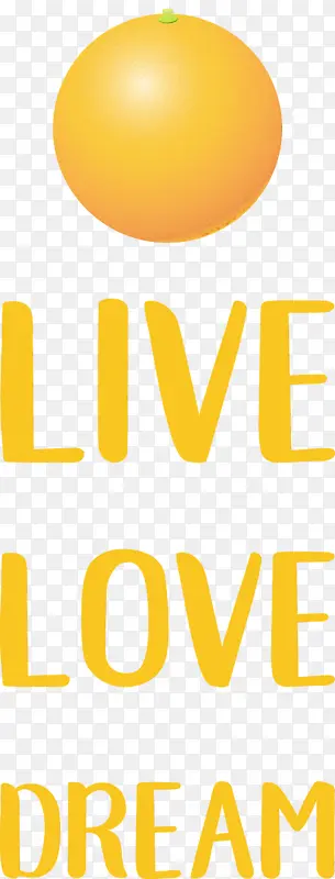 ���� ���� ����-������