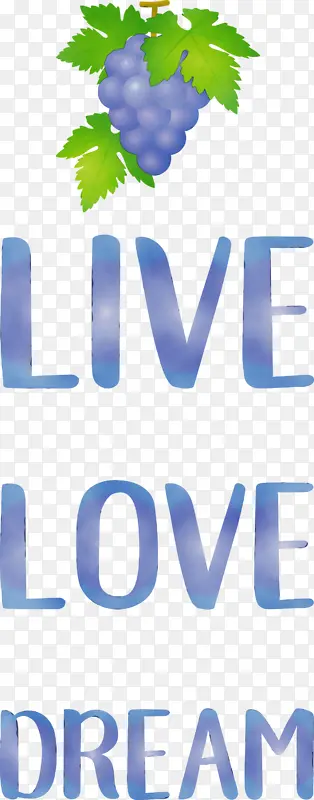 ���� ���� ����-������