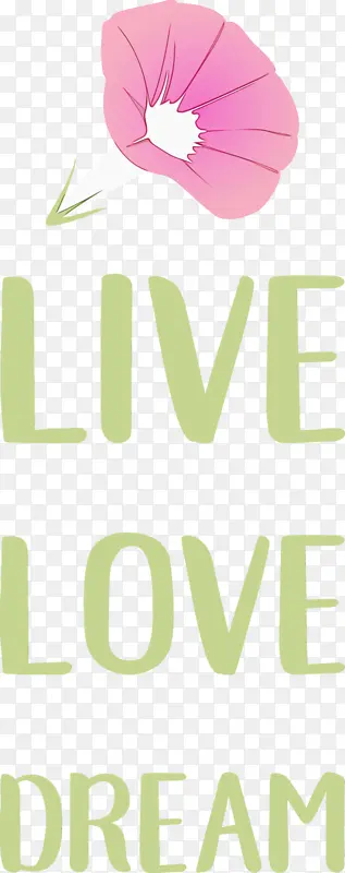 ���� ���� ����-������