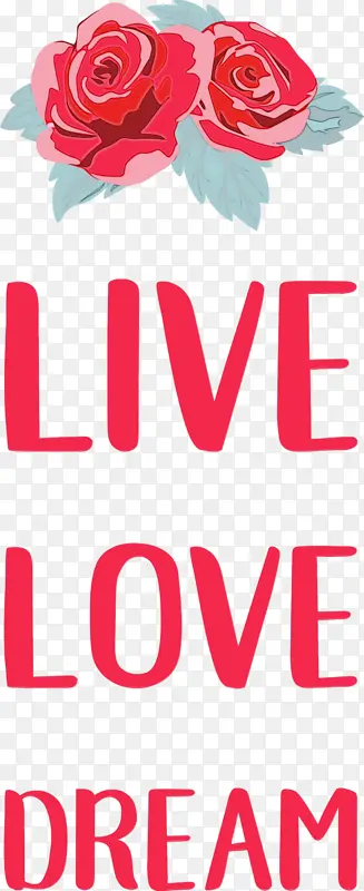 ���� ���� ����-������