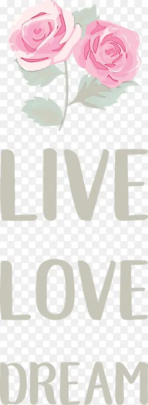 ���� ���� ����-������