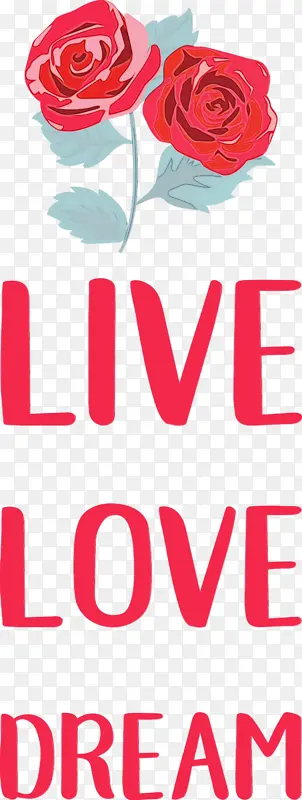 ���� ���� ����-������