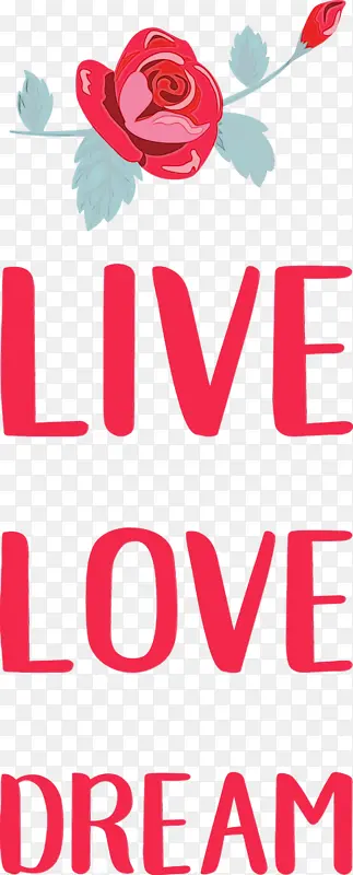 ���� ���� ����-������