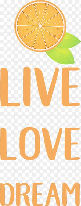 ���� ���� ����-������