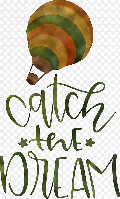 ���� ��ѧ �̱�-������