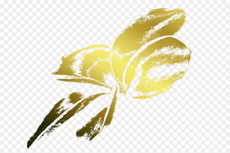 ���滨��ֲ�ﾥ����-������