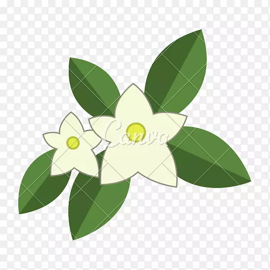 ���������򻨵���ͼ��-����-������