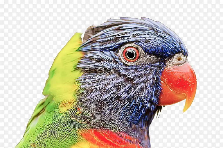 ������ʾ�� ���� ���ܵ���-������