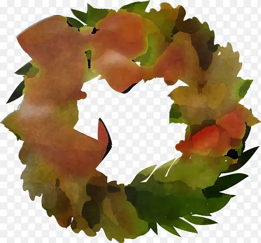 Ҷ ��ʵ ֲ��-������