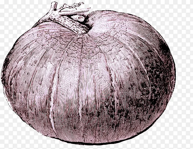 �߲� ����« ���-������