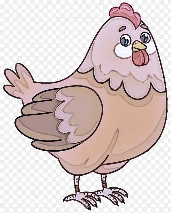 ½��èͷӥ �� ��ͨ-������