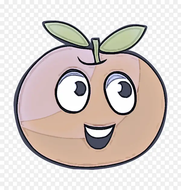 ��ͨ ���� ֲ��-������