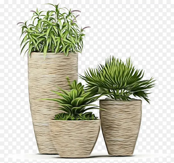 ˮ�ʻ� ���� ʪīˮ-������